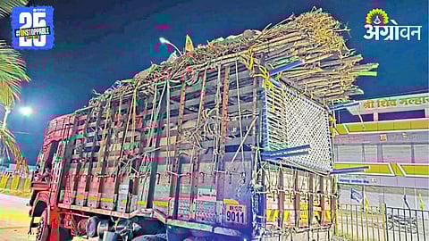 Sugarcane Crushing Season 