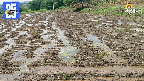 Agriculture