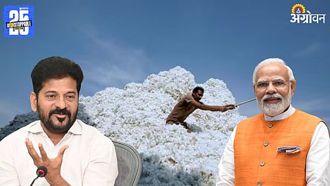 CCI Cotton Procurement