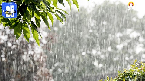 Maharashtra Unseasonal Rains