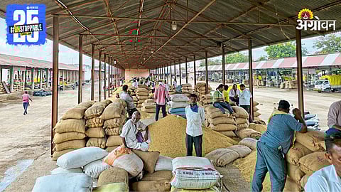 Soybean Market