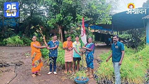 Tribal Employment 