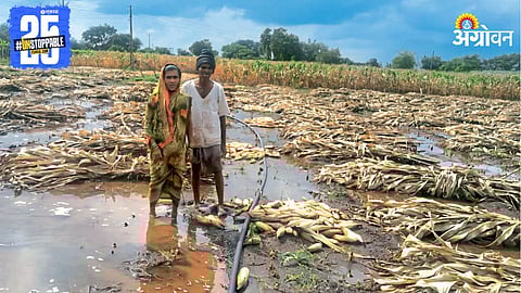 Farmer Crisis