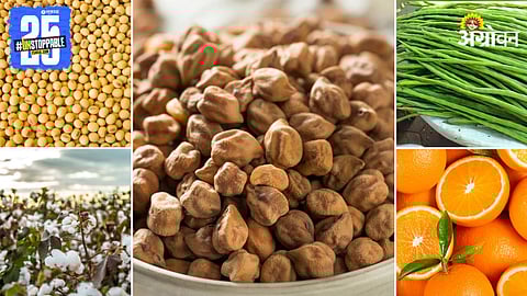 Agriculture Products