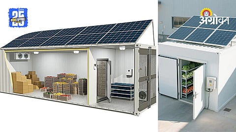 Solar Cold Storage