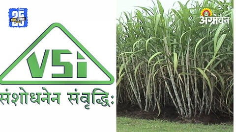 Vasantdada Sugar Institute