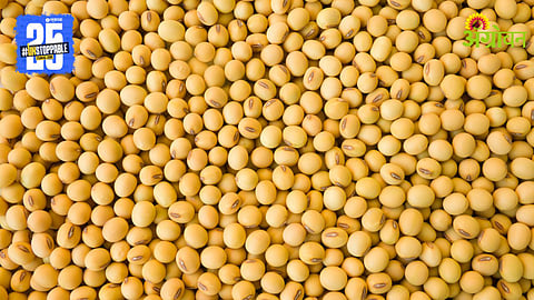 Soybean Procurement