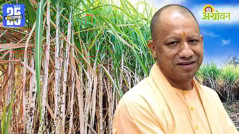 Sugarcane Price Hike