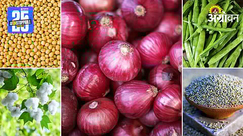 Agriculture Products