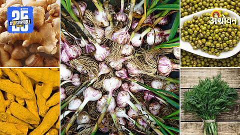 Agriculture Products