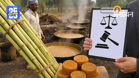 Jaggery Industry: सरकारचा गुळ उद्योगांवर लगाम! नवीन कायद्यानुसार नोंदणी अनिवार्य, ऊस खरेदी-विक्रीचे नवे नियम