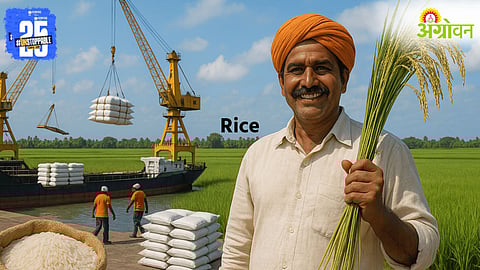 India Rice Exports