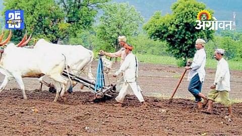 Rabi Sowing