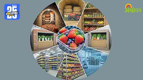 Fruit and Vegetable Storage