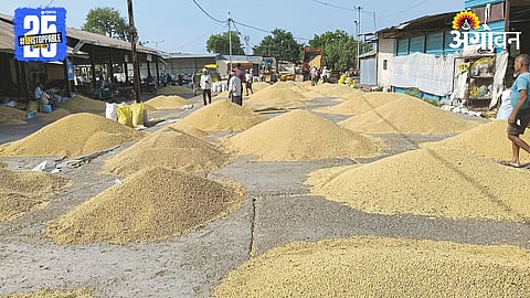Soybean Procurement
