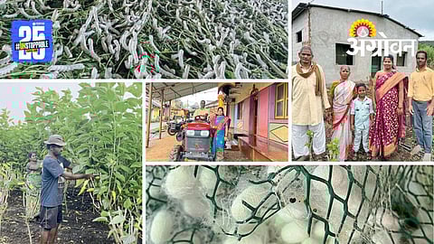 Silk Farming: रेशीम बीजकोष निर्मितीत मिळवले प्रावीण्य