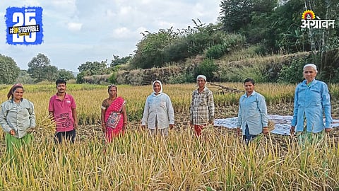 Paddy Crop Loss