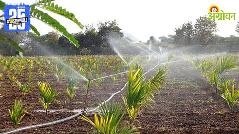 Micro Irrigation