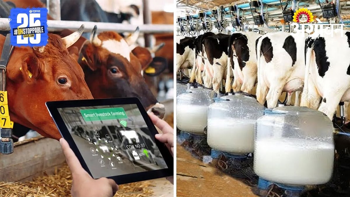 IoT in Animal Farming | सेन्सरमुळे वाढणार पशुपालनाची कार्यक्षमता ...