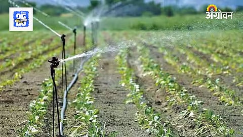 Micro Irrigation