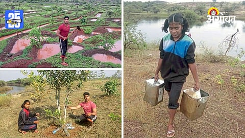 Tree Plantation