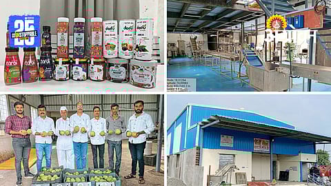 Fruit Processing: पुरंदर तालुक्यातील गावे प्रक्रिया उद्योगात आघाडीवर