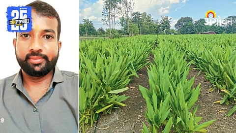 Turmeric Farming