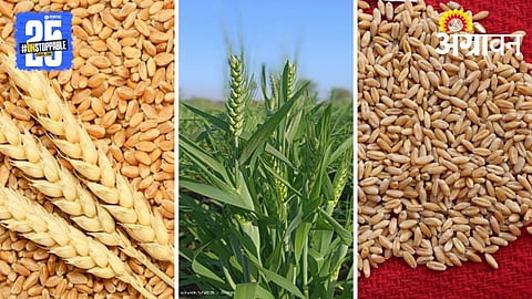 Recommended Varieties