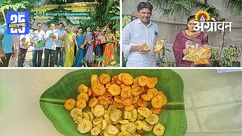 Kurundkar Banana Chips: कुरुंदकर कंपनीची केळी चिप्स निर्मिती  