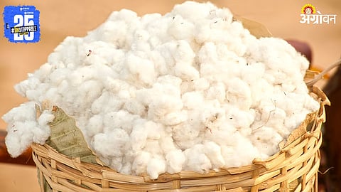 Cotton Procurement