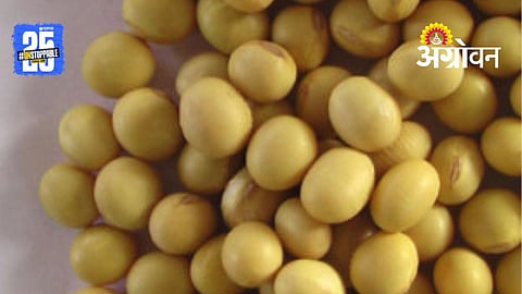 Soybean In Market