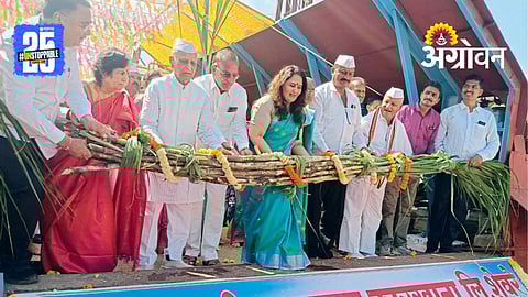 Sugarcane Crushing Season