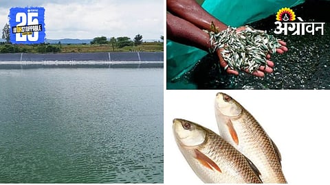 Fish Seed Handling
