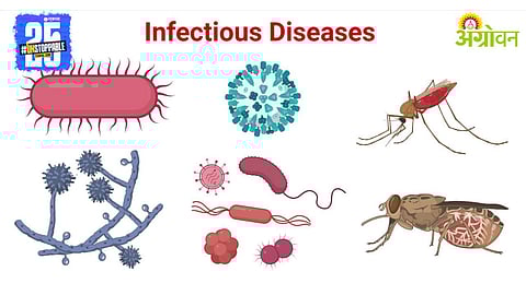 Infectious Disease