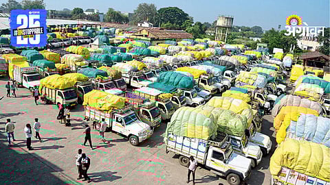 Cotton Market
