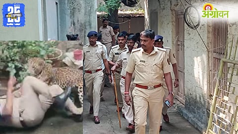 Kolhapur Leopard Attack