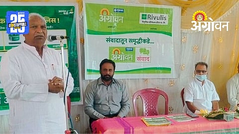 Sugarcane Production