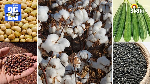 Agriculture Products