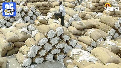 Cotton Market
