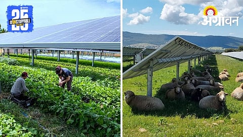 Agrovoltaics farming