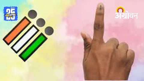 local body elections