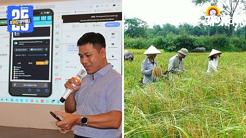 rice research