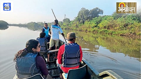 Mangrove Conservation