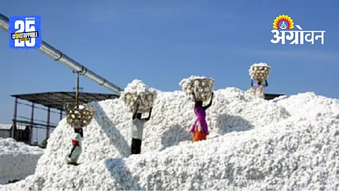 CCI Cotton Procuremen