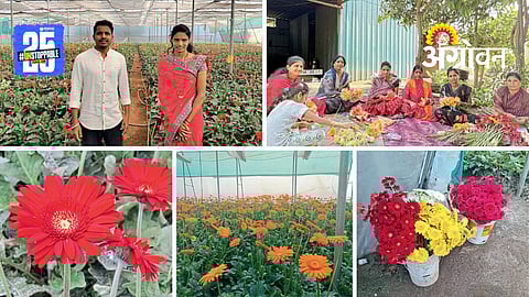 Gerbera Farming