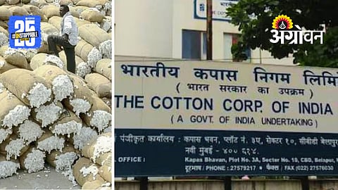cotton purchase