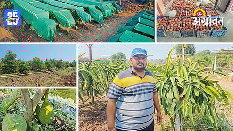 Modern Fruit Farming