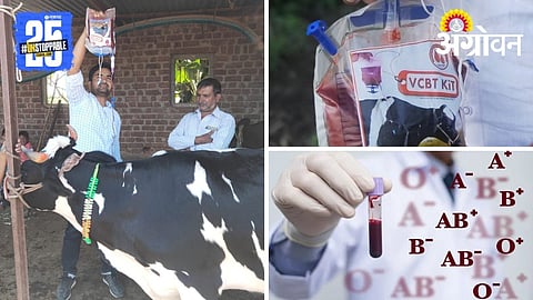 Blood Transfusion in Animals