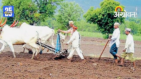 Rabi Sowing