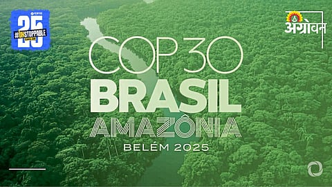 COP 20 Brasil Amazonia